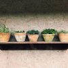 Simple display of clay plant pots on a wooden shelf, exemplifying minimalist indoor decor in Lahijan, Iran