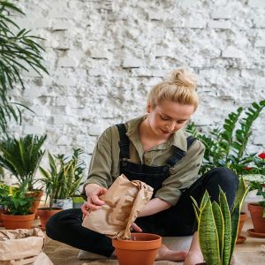 A young woman engaged in indoor gardening, planting various herbs and plants in terracotta pots