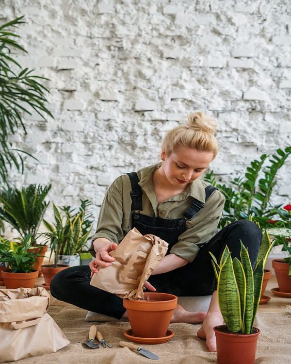 A young woman engaged in indoor gardening, planting various herbs and plants in terracotta pots
