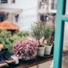 Shoes on a charming balcony with blooming flowers and city view. Perfect for lifestyle and leisure themes