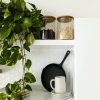 A stylish kitchen shelf with a pothos plant, ceramic cup, and glass jars for minimalist decor