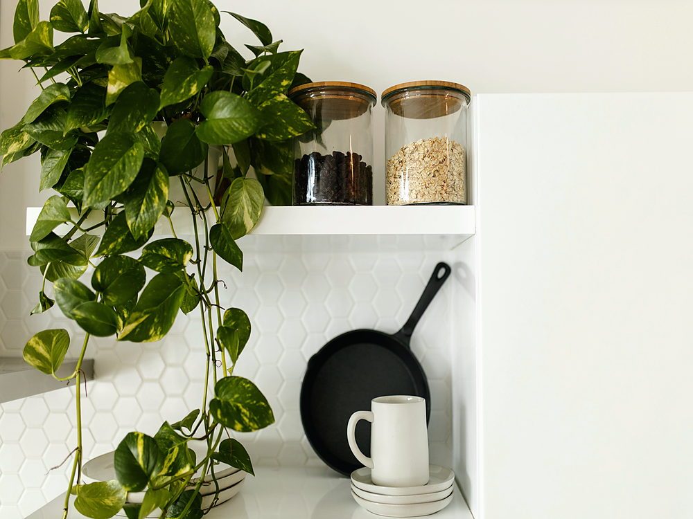 A stylish kitchen shelf with a pothos plant, ceramic cup, and glass jars for minimalist decor