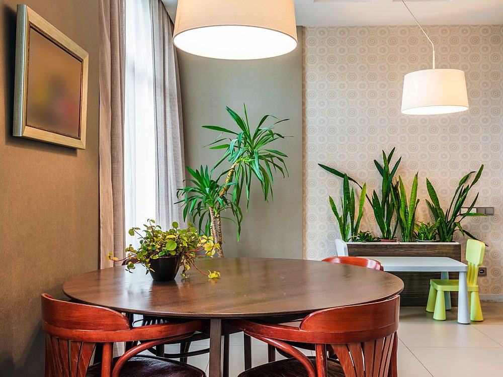 A bright and stylish dining area featuring wooden chairs, plants, and ambient lighting