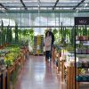 A vibrant indoor garden center with a variety of plants and two customers shopping