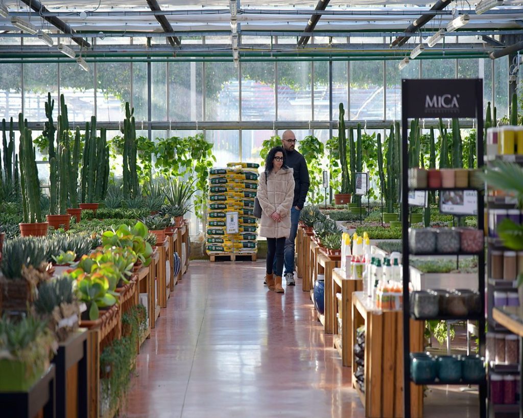 A vibrant indoor garden center with a variety of plants and two customers shopping