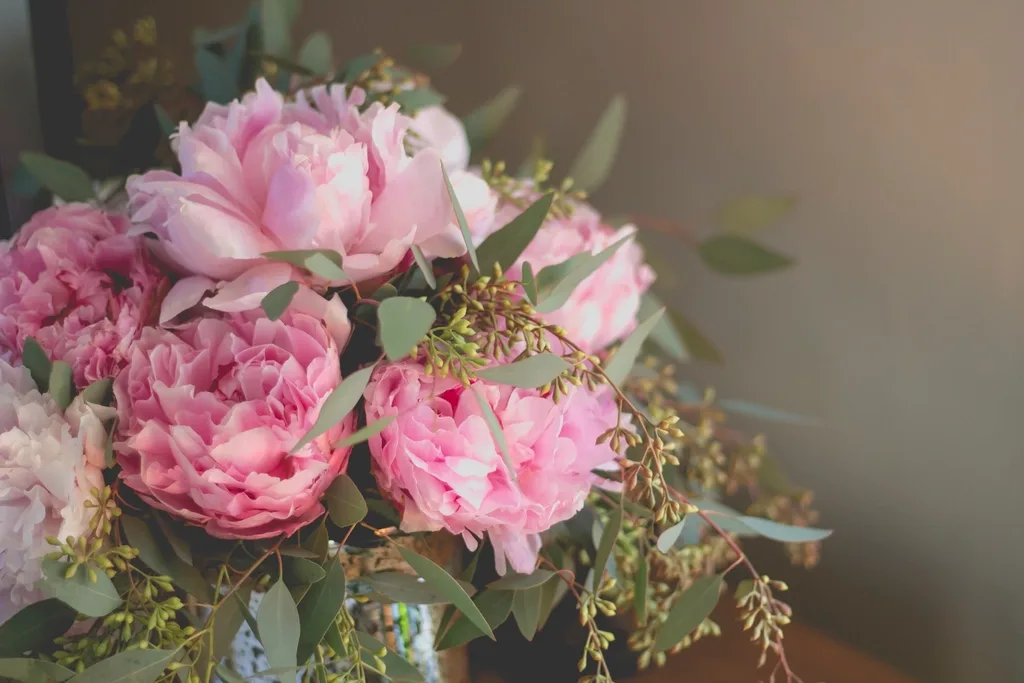 Pink peonies loosely gathered with seeded eucalyptus, still unwrapped.