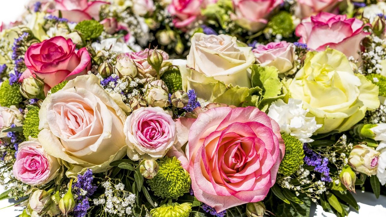 Atelier Peony in cream — blush and ivory garden roses.